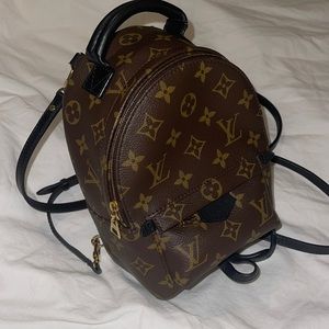 Louis Vuitton Palm Springs Mini